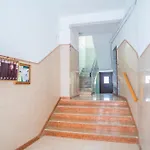 Dodo's House 4*